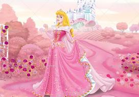 Sleeping Beauty Princess Backdrop Cartoon Fairy Tale Kids Girls Birthday Party Decor Baby Shower Photo Background Banner Props 47.2x31.5inch/120*80cm pink