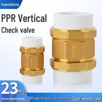 Žalvarinis PPR vienpusis atbulinis vožtuvas PPR 20 Half-Inch