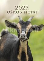 Sieninis kalendorius 2027. Ožkos metai