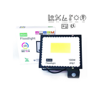 LED lauko šviestuvas 100W su judesio davikliu 6500K MINI IP67