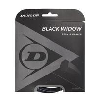 Stygos tenisui BLACK WIDOW 17g/1.26mm 12m