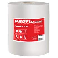 ProfiSauber POWER 250 sugeriantis pramoninis neaustinis skuduras