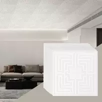 Pakabinamos lubos plokštės, 605x605 mm, 12 vnt., plastikinės, balta spalva