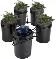 Hidroponikos auginimo sistema RDWC, 20 L, su lašelinio drėkinimo rinkiniu
