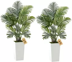 Dirbtinė areka palmė, 1219 mm, 2 vnt. pakuotė, su aukšta balta vaza, tropinis augalas, namams, biurui, patalpoms ir lauke