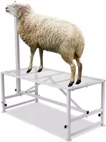 Ožkų/avių melžimo ir kirpimo stovas 1195 x 584 mm, reguliuojamo aukščio, su galvos fiksatoriumi