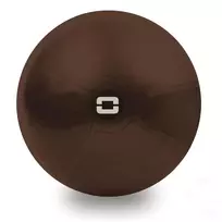 Gimnast. kamuolys 75cm TOORX Liveness AYP-003 su pompa