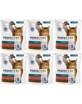 PERFECT FIT Sterile 1+ 6x750 g sausas visavertis pašaras suaugusioms katėms, kuriame gausu jautienos