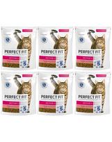 PERFECT FIT Active 1+ 6x750 g sausas visavertis pašaras suaugusioms katėms, kuriame gausu jautienos