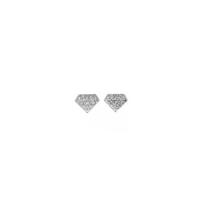 Swarovski dirbtinio kristalo auskarai moterims SW-2025199 Mystery Box (Random Pick: One Earring or Charm) gray