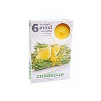 Arbatinės žvakės CITRONELLA Maxi Nuo uodų 6 vnt.