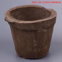 Soil For Butterfly Orchids Prevents Root Rot Good Breathability Repotting Dendrobium Orchids And Other Orchidaceae Species as the picture gray