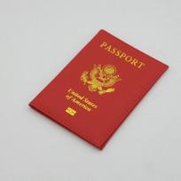 Color Passport Candy Travel Organizer Holder Card Case Protector American Cover mėlyna