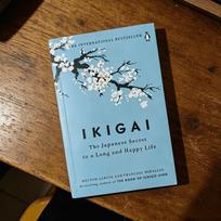 IKIGAI International Bestseller Adults English Paperback Japanese Longevity Happiness Life Philosophy Guide Free Shipping 1 gray