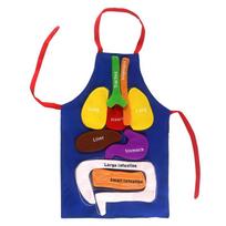 Montessori Human Body Learning Educational Toys Fabric Organ Matching Apron Parish Teaching Aids Educational Toys For Children blue