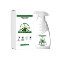 Herbicidai Terasa Įvažiavimas Naudojimas Akmens Žvyras Tinka Paprastas Purškimas Samanos Piktžolių Kontrolė Herbicidai white