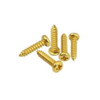 FLEOR 100PCS Guitar Tuning Pegs Machine Heads Mounting Screws 2.3x9.5mm Flat Head Screws for Acoustic Electric Bass Parts beige