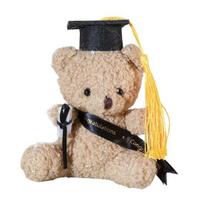 Baigimo meškiukas su PhD kepure Pliušinis įdarytas gyvūnas Dovana absolventams Minkšta baigimo meškiuko lėlė Meškiukas pakabukas krepšiui rožinė