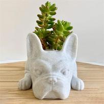 Resin Dog Succulent Planter Ornaments Mini French Bulldog Plant Planter Waterproof Handicraft  Garden Lawn Decor L brown
