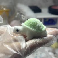Kawaii Mini hi Taba Squishy Fidget Toy Silicone Parrot Sparrow Panda Lamb Seal Puppy Healing Small Animal Girl Gift Pendant