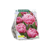 Tulpių svogūnėliai, lot. TULIPA LAAT AVEYRON, 10 vnt