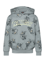 Lego Wear - Lego® Ninjago® Sweatshirt - Lwsaku 300 - Džemperis - Pilka