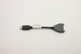 Adapteris AV Lenovo CABLE DP to DVI Dongle