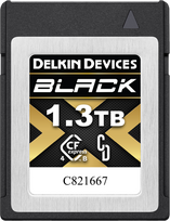Atminties kortelė Delkin Juoda CFexpress 1.3 TB kortelė (DCFX4B13T)