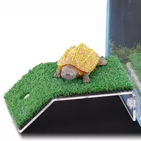 Duvo+ Terra Natura, platforma, laipiojimo rėmas vėžliui, skaidrus, akrilas+PE, 20 x 21 cm