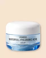 Jumiso Waterfull Hyaluronic Acid Cream - 50 g