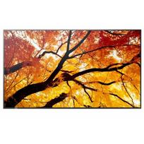 Monitor NEC MultiSync M502 ekranas | 60006054 | 4550556131032