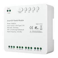 DIY Avatto WSMD-4 32V smart switch module