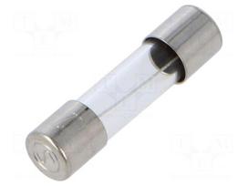 Fuse: fuse | cylindrical,glass | 5A | 250VAC | time-lag | brass