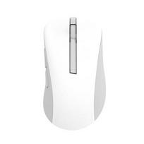 ASUS MD102 Belaidė pelė 1600dpi White