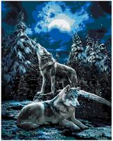 Piešimo rinkinys Gamtos šauksmas, 40x50