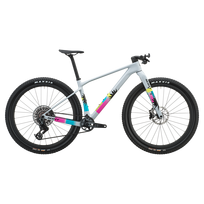 Dviratis 28" SCOTT SCALE GRAVEL 10 dorado grey