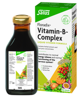 FLORADIX B-kompleksas skystu pavidalu, 250 ml
