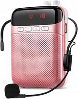 Nešiojamas 10W balso stiprintuvas su mikrofonu, MP3, TF, USB, AUX