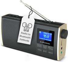 Nešiojamas radijas su FM, „Bluetooth“, SD kortelių skaitytuvu, 8 val. baterija