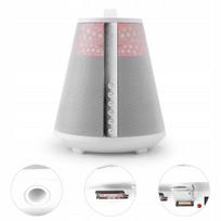 Bevielė Bluetooth kolonėlė su LED apšvietimu, FM radiju, įkraunama baterija, 6,5'', 100 W