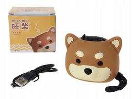 Belaidė Bluetooth kolonėlė su USB laidu Adar
