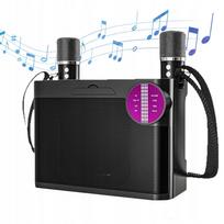 Nešiojama karaoke kolonėlė su 2 mikrofonais, Bluetooth, TF, AUX, LED
