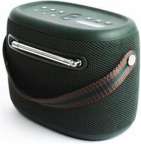 Nešiojama kolonėlė Pure Woodland, Bluetooth, DAB+/FM, IP67, žalia