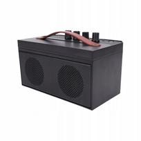 30 W akustinė gitara kolonėlė su 9N distorsijos funkcija