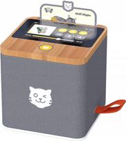 Nešiojama kolonėlė Tigermedia TigerBox Touch pilka 10 W