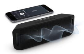 Belaidis Bluetooth garsiakalbis 6W su FM radiju, USB ir microSD