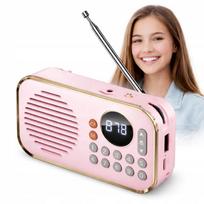 Belaidė nešiojama Bluetooth kolonėlė su FM radiju, 5W, USB, MP3, rožinė