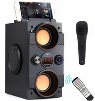 Nešiojama Bluetooth kolonėlė Feegar su karaoke mikrofonu, 4000 mAh, USB, AUX, radijas