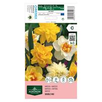 Narcizų svogūnėliai, lot. NARCISSUS DOUBLE MIX, 3 vnt
