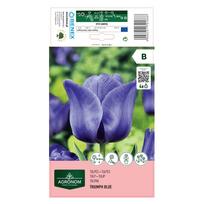 Tulpių svogūnėliai, lot. TULIPA TRIUMPH BLUE, 4 vnt
